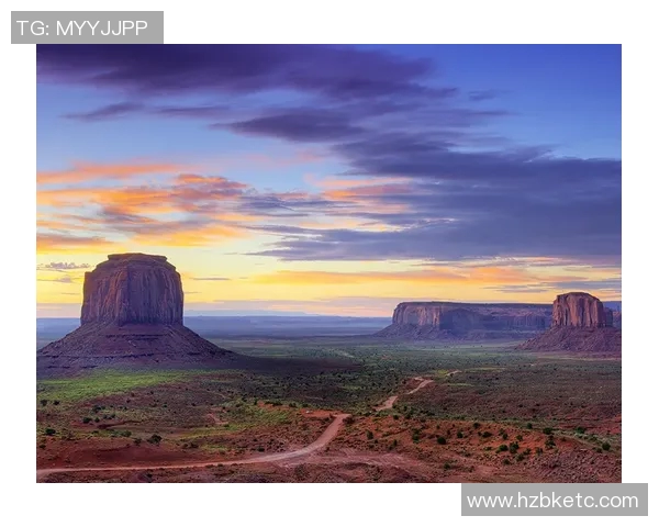 亚利桑那山谷日落！太阳队新主题地板惊艳亮相